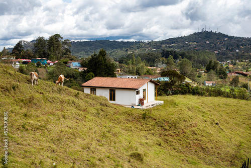 Colombian colonial architecture - Antioquia rural peasant house