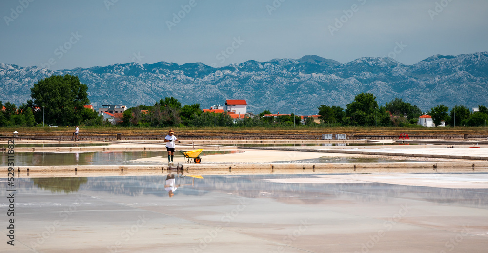 Nin, Croatia - 8 July 2021: Man picking up salt in the swamp and filling the wheelbarrow. Salt farmer harvesting the salt. Sea salt is salt that is produced by the evaporation of seawater.