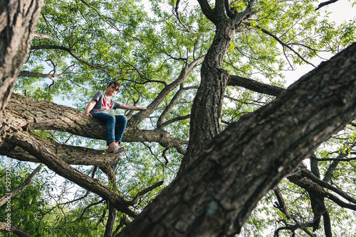 Low angle view of boy climbing tree in forest photo