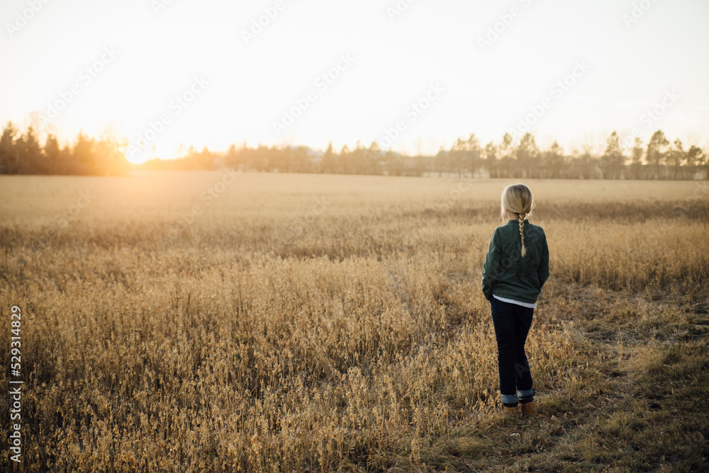 Rear view of girl standing on field during sunset Rear view of girl standing on field during sunset