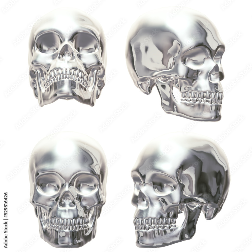 skull and crossbones skull and crossbones