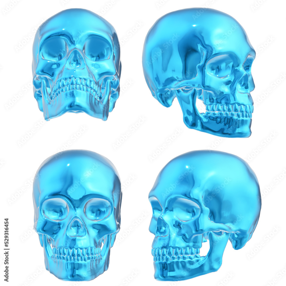 human skull isolated on black human skull isolated on black