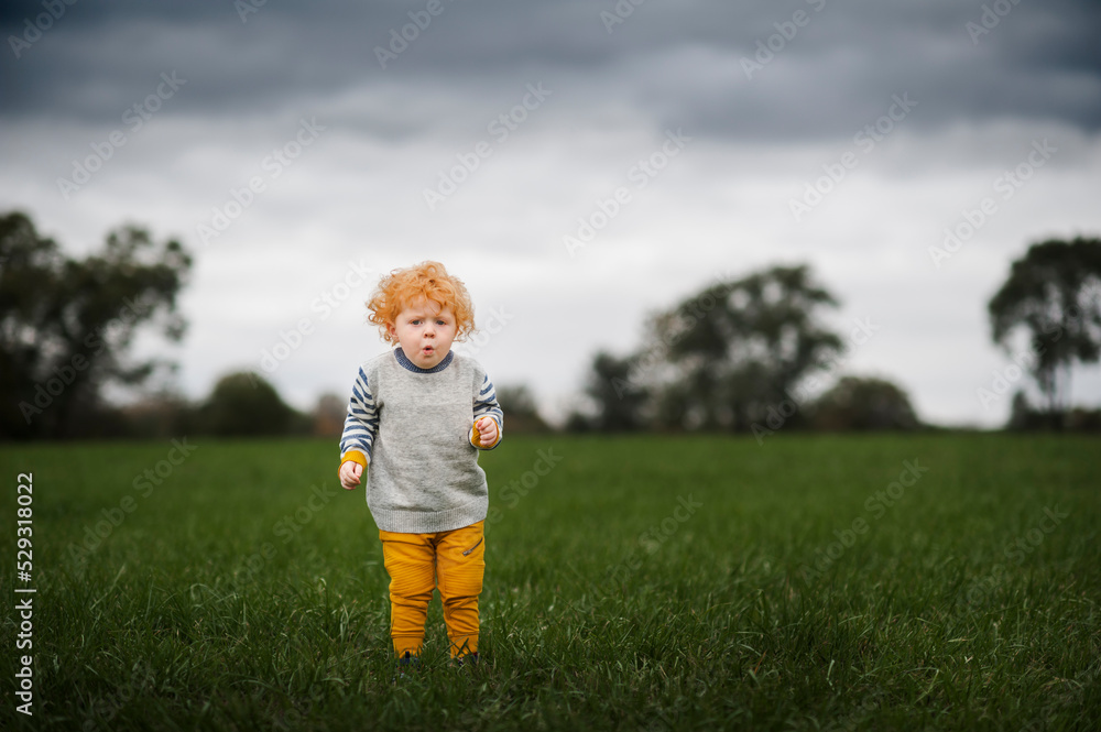 Cute toddler boy makes surprised face while standing in a field Cute toddler boy makes surprised face while standing in a field