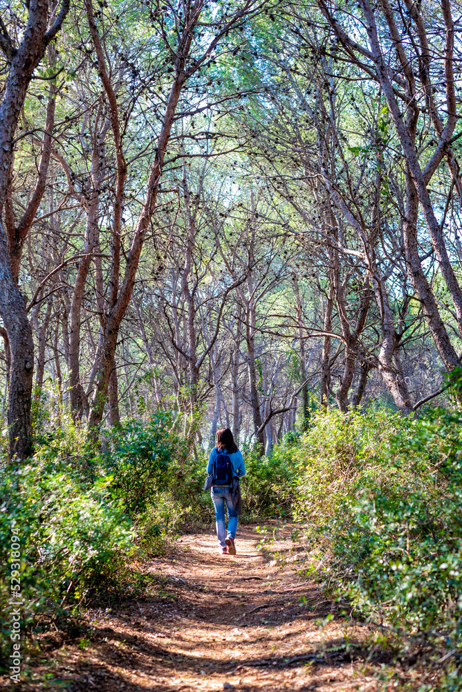 Rear view of woman walking in the forest on a sunny day Rear view of woman walking in the forest on a sunny day