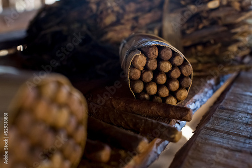 Packages of hand made cuban cigars with tobacco leaves photo