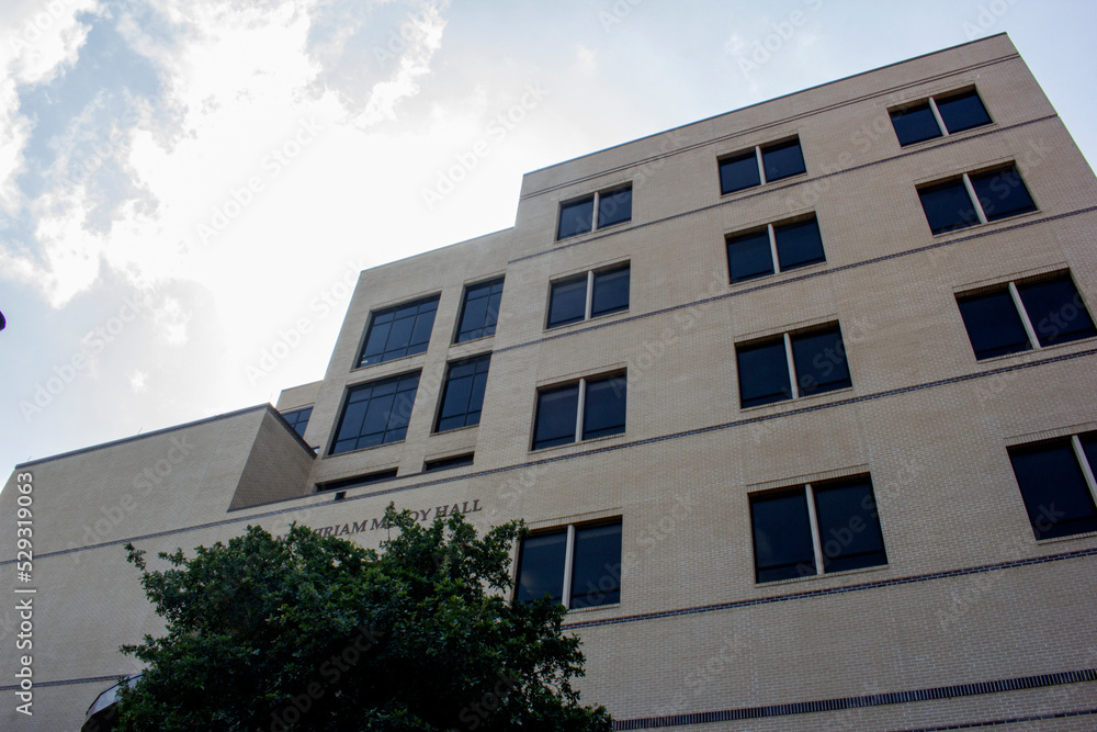 Fototapeta premium modern office building with sky