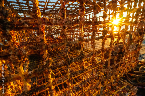 Sunrise seen through lobster trap on dock in summer, Bar Harbor, Maine