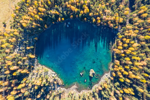 Larch trees mirrored in Lago di Saoseo in atumn, Switzerland photo