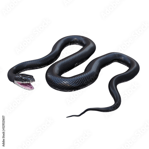3D illustration of Black rat snake. photo