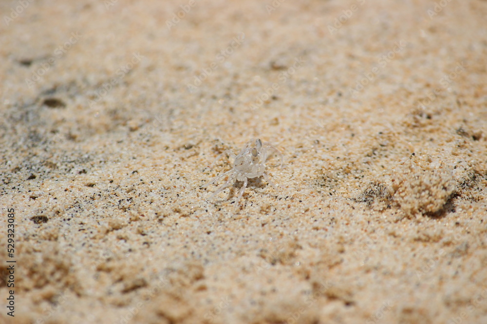 Experiencia en cabo verde 