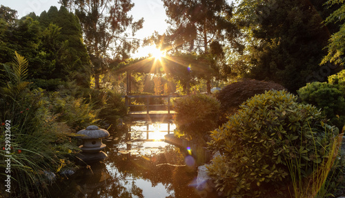 Japanese Garden in Esquimalt Gorge Park, Victoria, Vancouver Island, British Columbia, Canada. Sunny Summer Sunset. photo