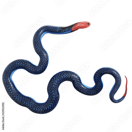 3D illustration of Blue coral snake.