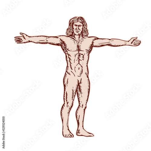 Vitruvian Man Arms Spread Front Etching © patrimonio designs