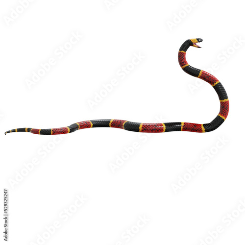 3D illustration of Eastern coral snake.