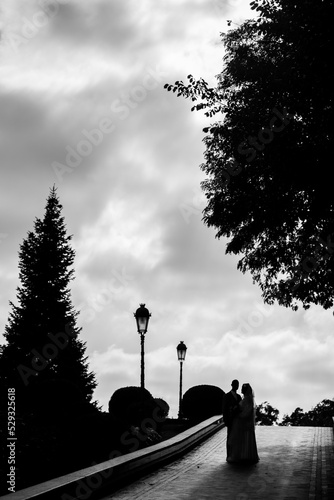 Fototapeta Naklejka Na Ścianę i Meble -  black and white photo silhouettes of the newlyweds against the sky