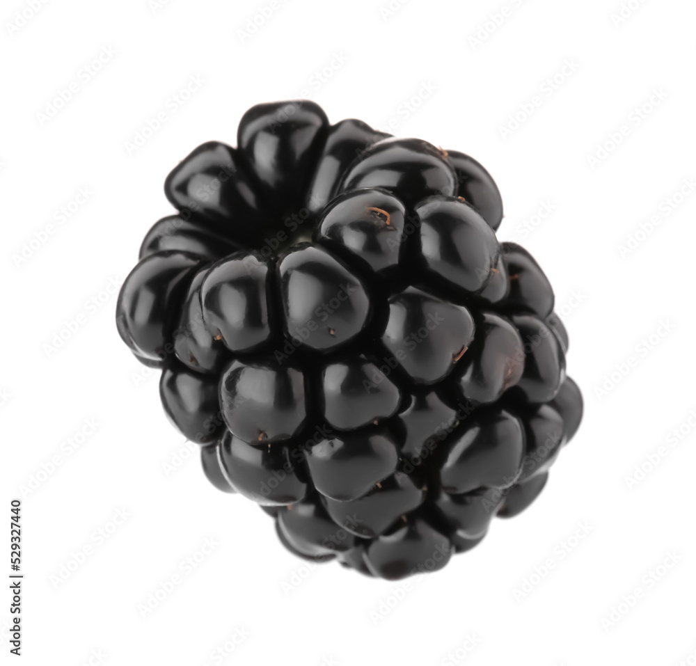 Obraz premium One tasty ripe blackberry isolated on white