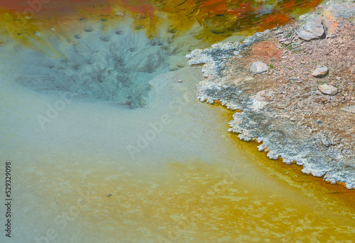 Artist's Palette in a Yellowstone Hot Spring 