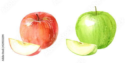 Watercolor illustration of red apple and green apple with transparent background