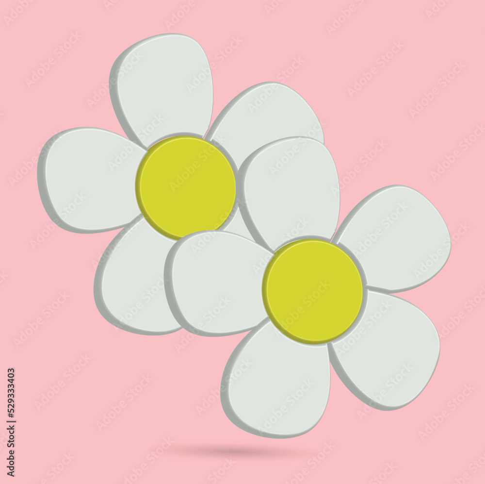 A couple white flower for your decoration image A couple white flower for your decoration image