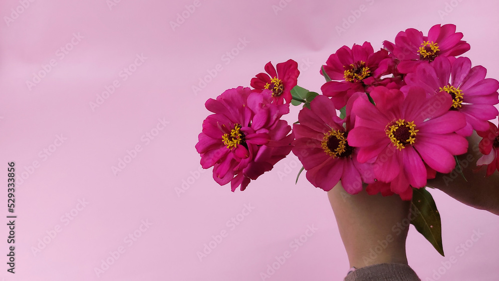 Bouquet with pink flowers in girl's hands on blue background 03
