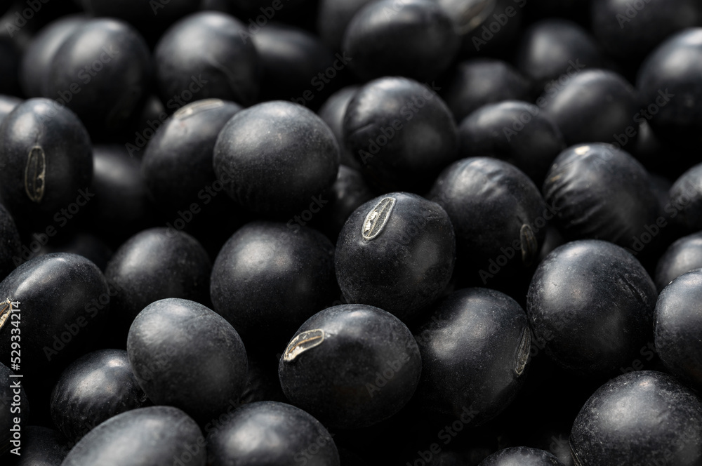 Black soybeans placed throughout the screen. Black soybeans placed throughout the screen.