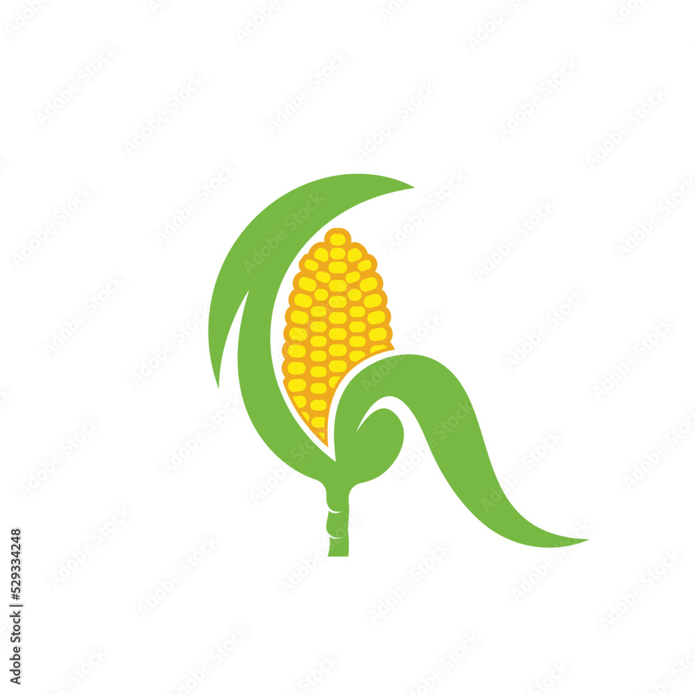 Obraz premium fresh corn vector element illustration design template