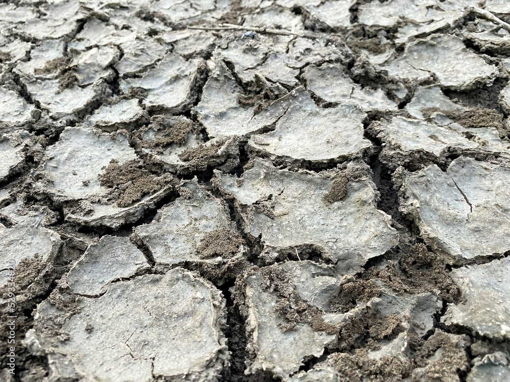 dry crack soil texture in country Thailand dry crack soil texture in country Thailand