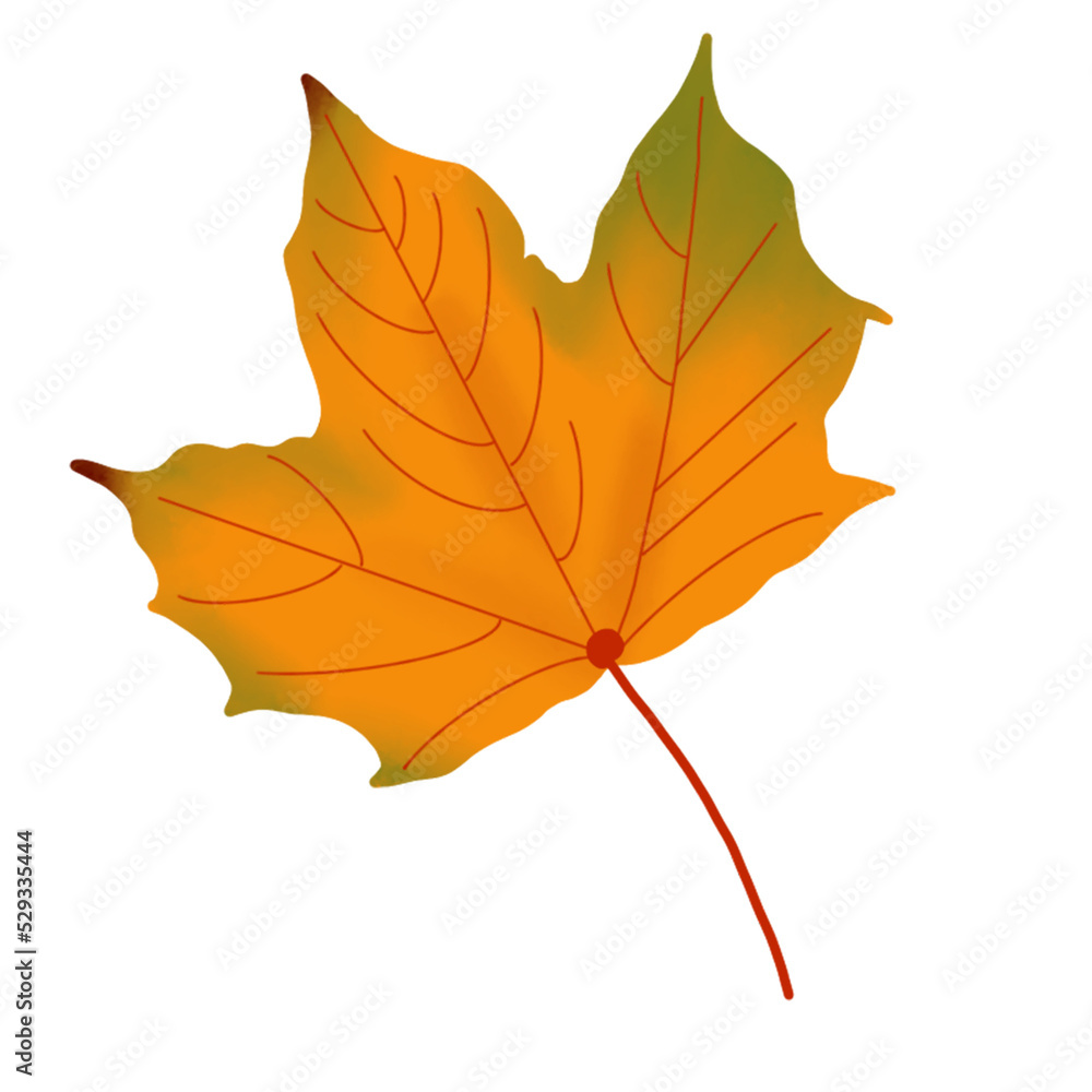 autumn maple leaf autumn maple leaf