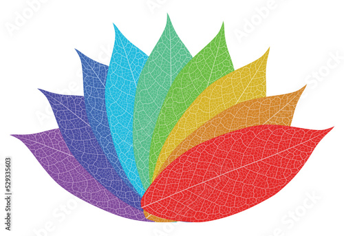 Layered editable vector illustration outline of a flower pattern composed of leaf veins with different colors.