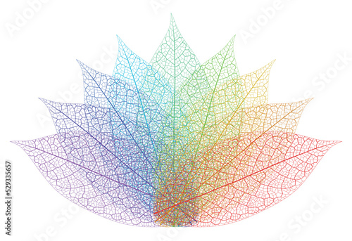 Layered editable vector illustration outline of a flower pattern composed of leaf veins with different colors.