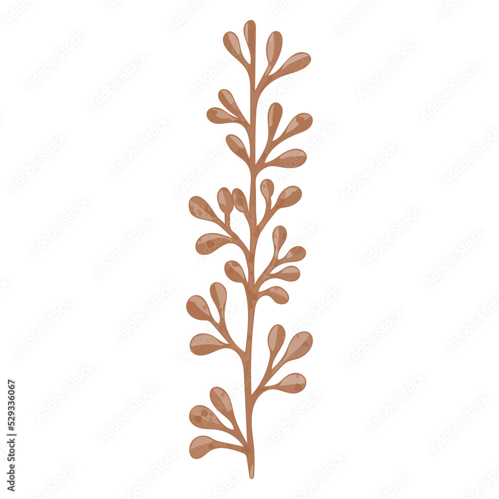 Fototapeta premium Watercolor Dried Leaf, Branches clipart.