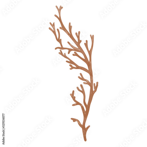 Watercolor Dried Leaf, Branches clipart. © Touchr