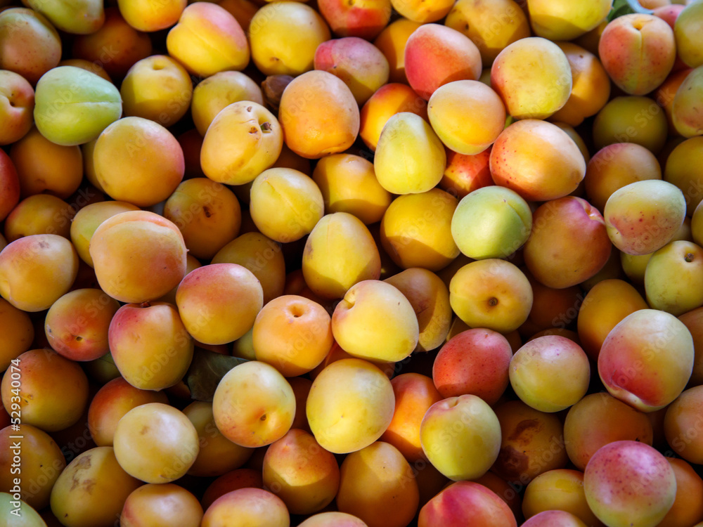 Ripe apricots fruit on a local farmer street fruit vegetables market, ecological food, full frame background