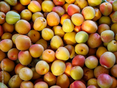 Ripe apricots fruit on a local farmer street fruit vegetables market  ecological food  full frame background