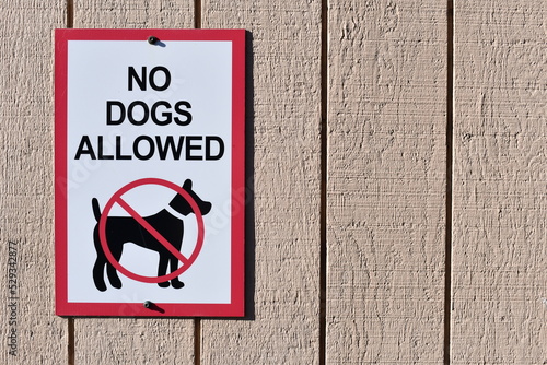 Canvas Print No dogs allowed.