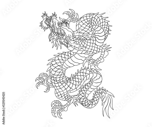 Oriental dragon illustration Chinese Japanese Korean style transparent background looking up line