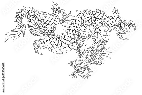Oriental dragon illustration Chinese Japanese Korean style transparent background Simple light d descending dragon line © pil