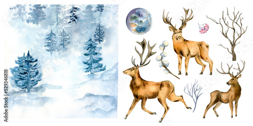 Set of deer and winter landscape watercolor illustration isolated on white background.