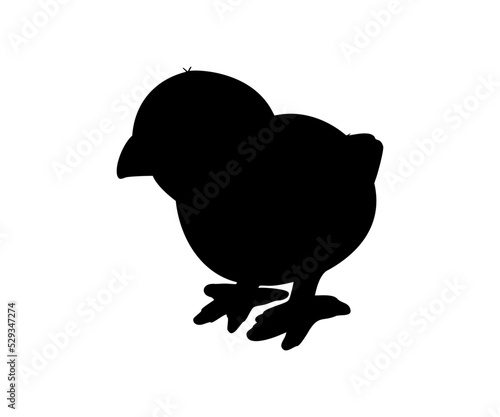 Hen or chicken silhouette isolated in white background. Free grazing hen bird in the runch. Hand drawn vector illustration