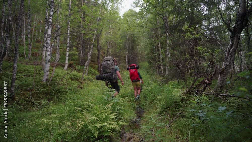 Couple Hikers With Their Dog Walking Through The Forest In Lomsdal-Visten National Park In Norway. - rear Couple Hikers With Their Dog Walking Through The Forest In Lomsdal-Visten National Park In Norway. - rear