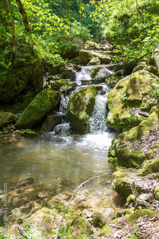 Mountain river, sources in the canyon of the stone bed, panorama of the area, summer season, in nature Mountain river, sources in the canyon of the stone bed, panorama of the area, summer season, in nature