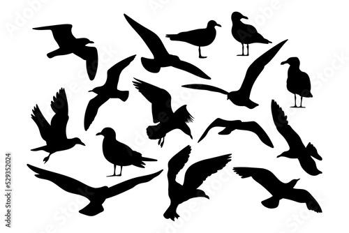 Seagull set templates for cutting programs