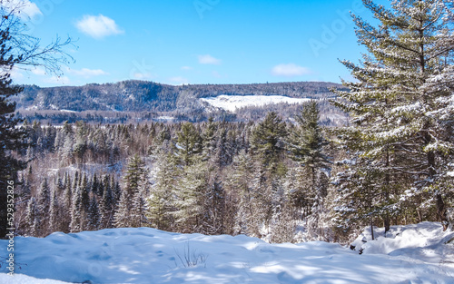 View on the Laurentien mountains covered with snow on a beautiful winter day in La Tuque, Quebec (Canada) photo
