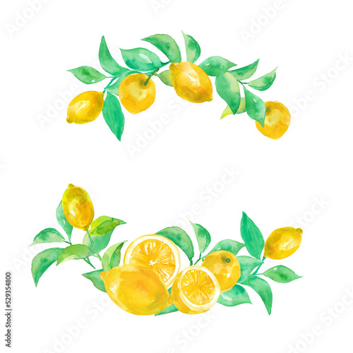 レモンと枝葉の水彩イラスト、丸いフレーム（透過背景）