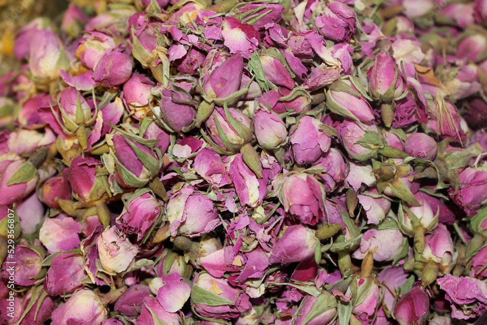 close up of flowers