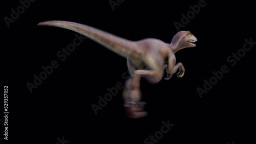 Dinosaur Velociraptor Run Loop Back View Alpha photo