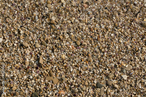 Small pebbles form the background of the sea shore. Coarse multicolor sand.