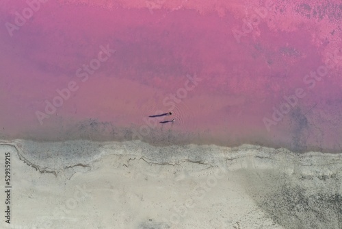 A woman and a boy on the pink lake