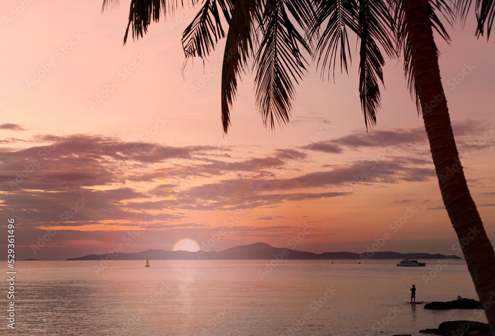 Coconut palm tree silhouette on sea and evening sunset sky background.