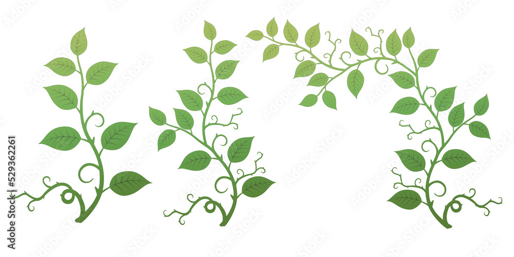 Illustration of various leaves and grass with rose leaves and thorns on a transparent background